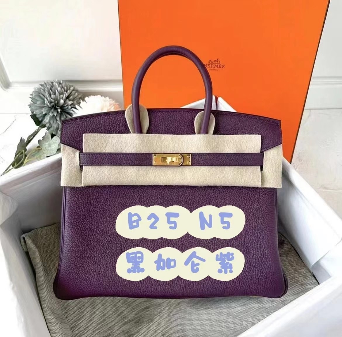 Hermes Birkin 25cm Togo N5 Cassis 加侖紫 金扣 全手工蜜蠟線縫製