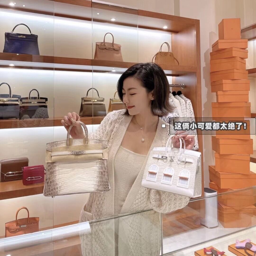 Hermes Birkin 20 Sac Faubourg Matte Alligator與Birkin 25 Himalaya Niloticus Crocodile