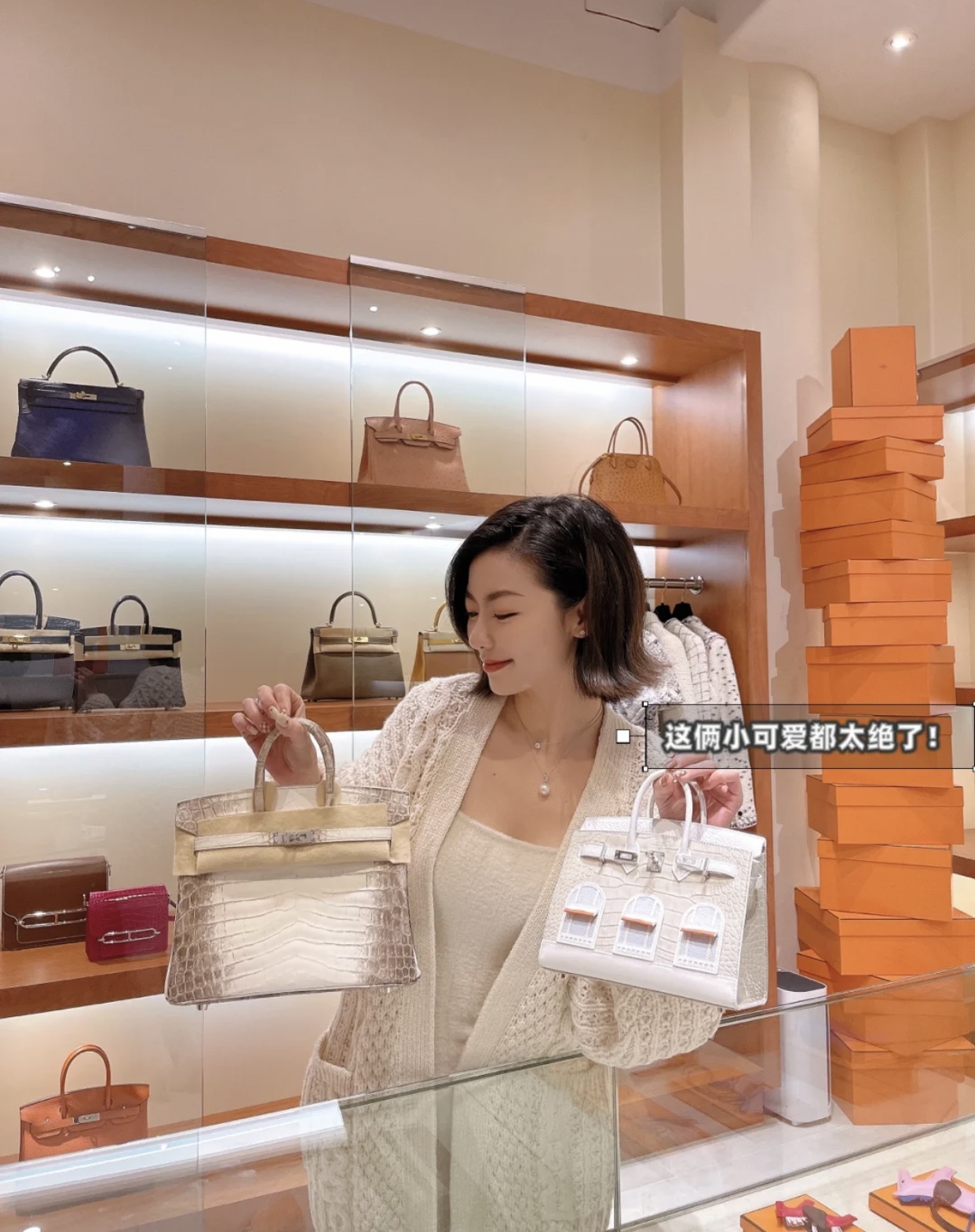 Hermes Birkin 20 Sac Faubourg Matte Alligator與Birkin 25 Himalaya Niloticus Crocodile