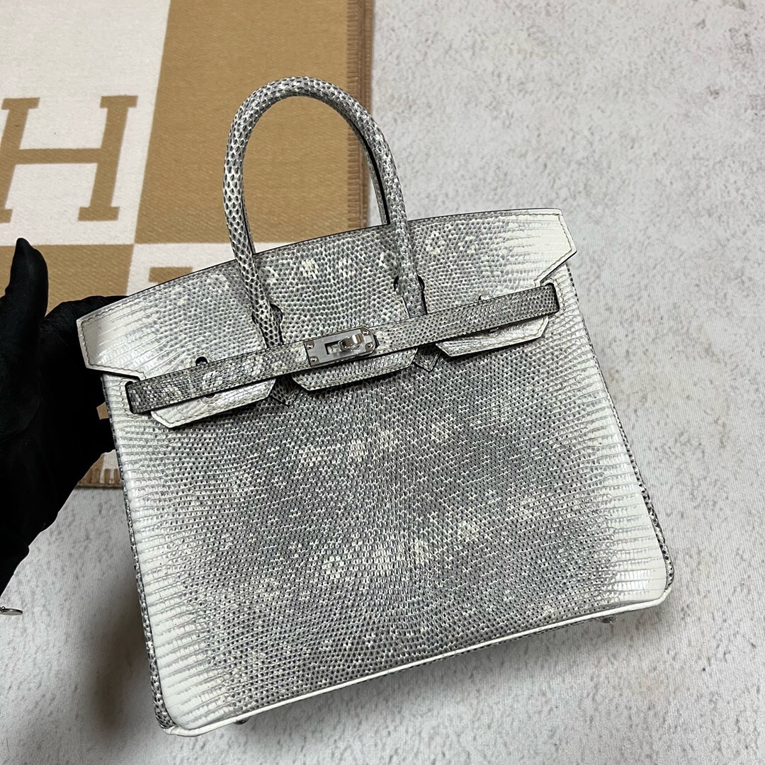 愛馬仕包包價格 Hermes Birkin 25 1B OMBRE LEZARD NATURA LISSE自然色蜥蜴皮