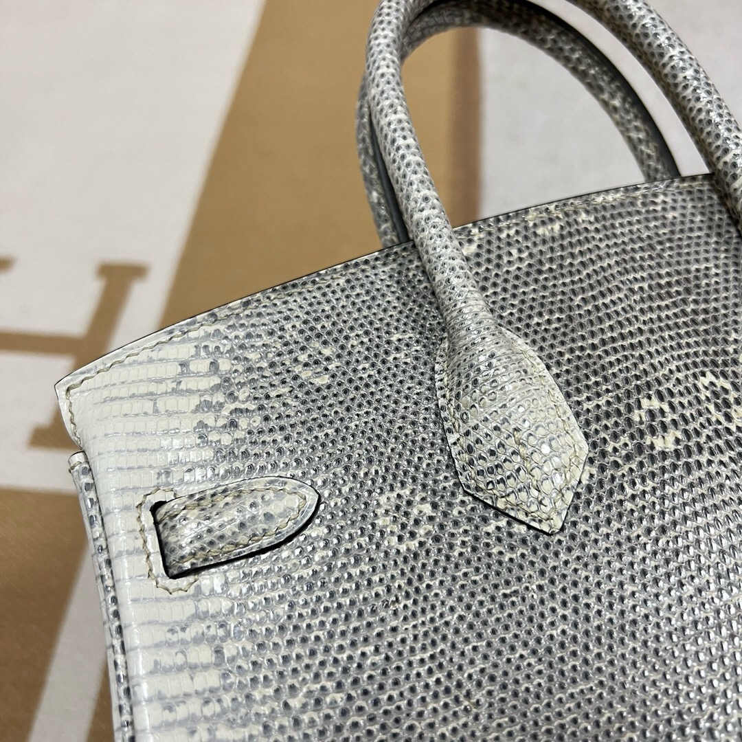 愛馬仕包包價格 Hermes Birkin 25 1B OMBRE LEZARD NATURA LISSE自然色蜥蜴皮