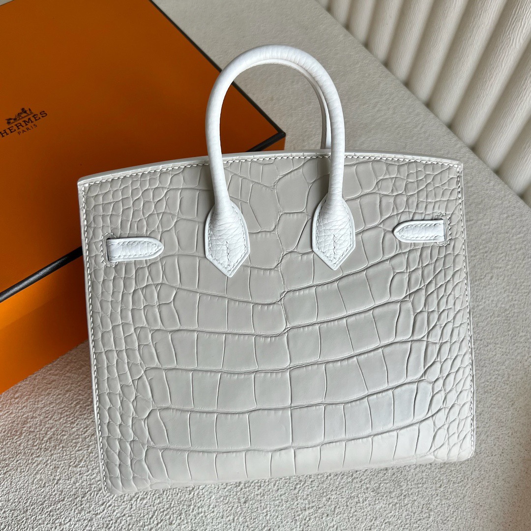 愛馬仕初雪白色啞光白色鱷魚皮小房子包多少錢 愛馬仕限量款 Hermes Birkin 20 Sellier Faubourg