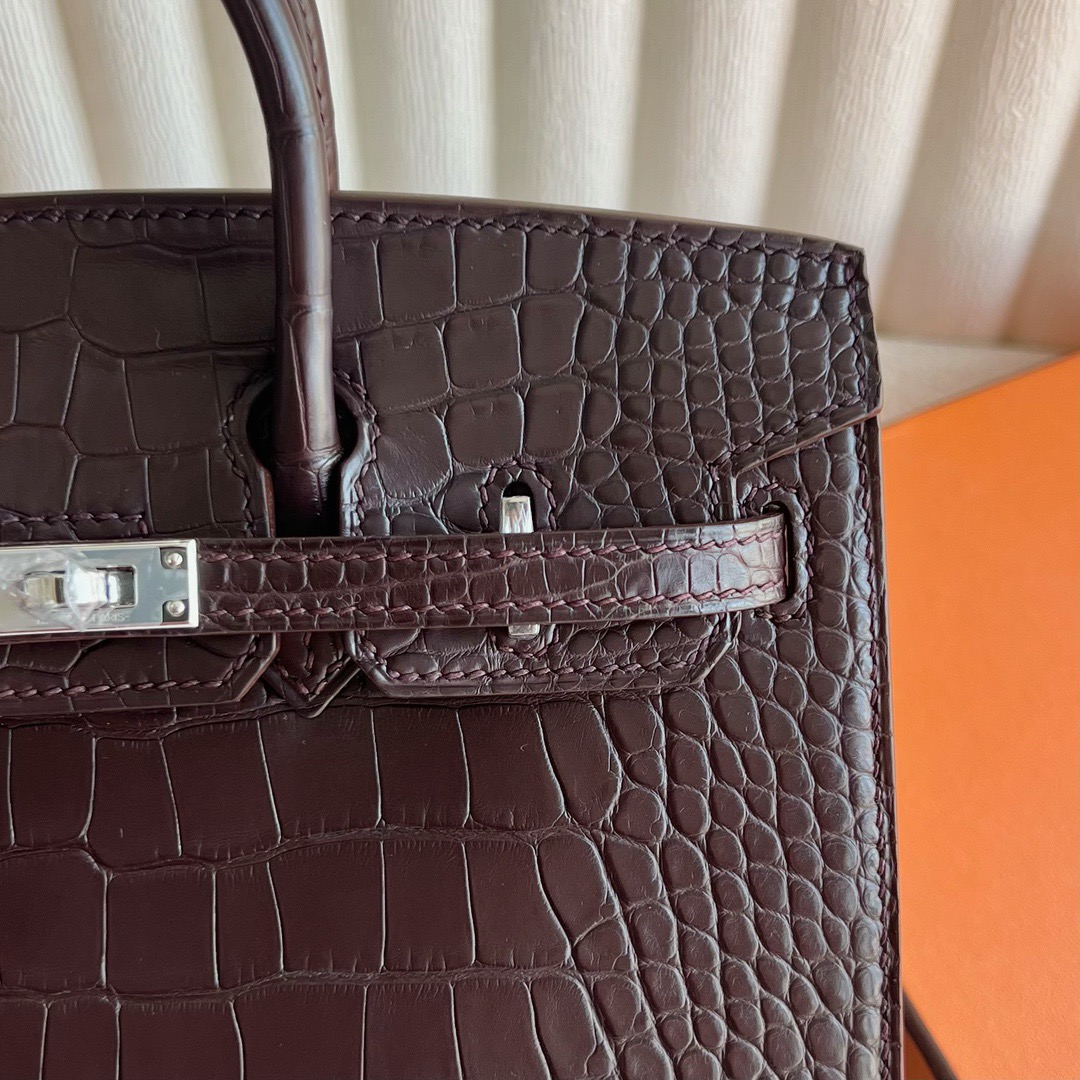 愛馬仕迷你外縫鉑金包Hermès Birkin 20 Sellier外縫霧面美洲鱷魚皮哈瓦那色銀色五金