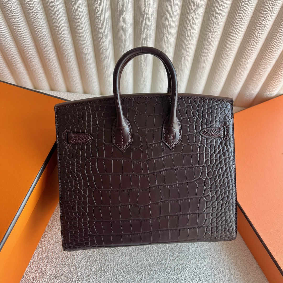 愛馬仕迷你外縫鉑金包Hermès Birkin 20 Sellier外縫霧面美洲鱷魚皮哈瓦那色銀色五金