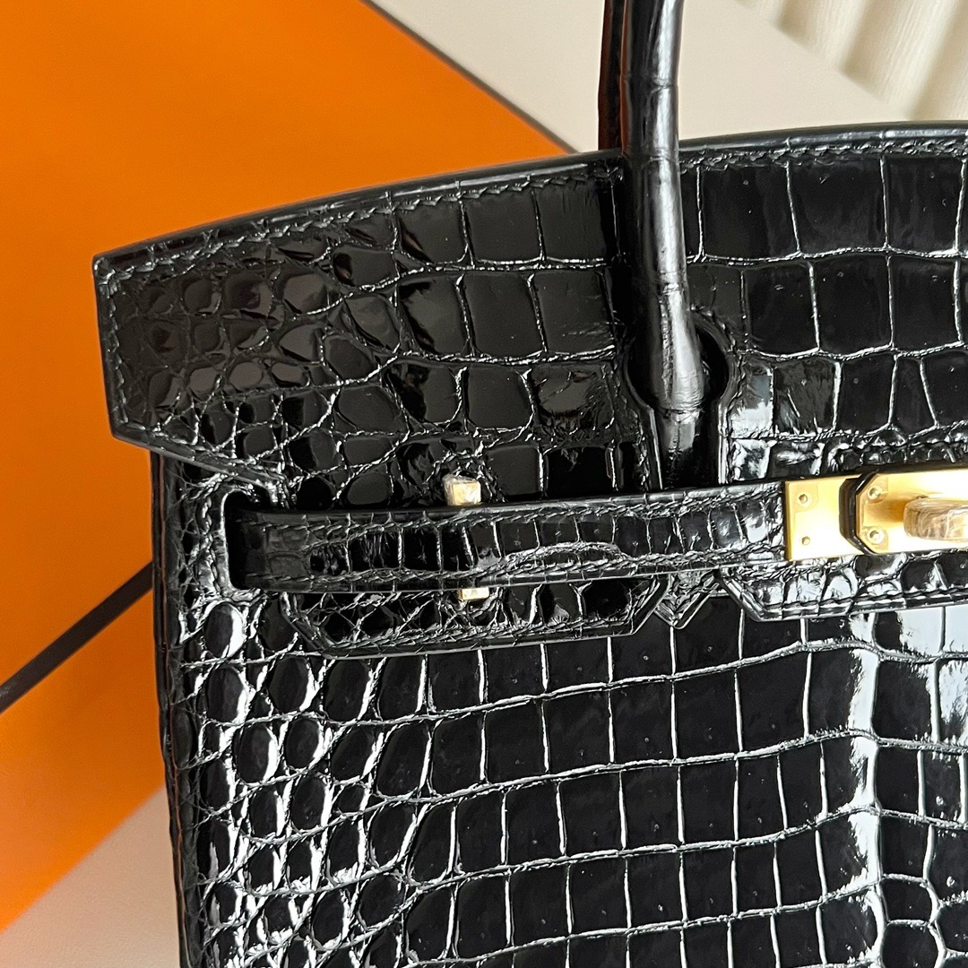 愛馬仕經典女包價格 Hermès Birkin 25 Shiny porosus crocodile 黑色霧面倒V灣鱷鱷魚皮金色五金