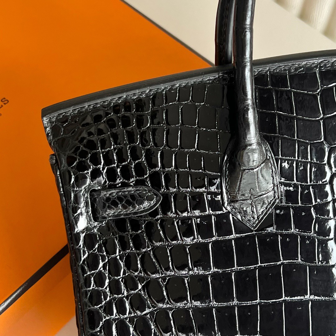 愛馬仕經典女包價格 Hermès Birkin 25 Shiny porosus crocodile 黑色霧面倒V灣鱷鱷魚皮金色五金