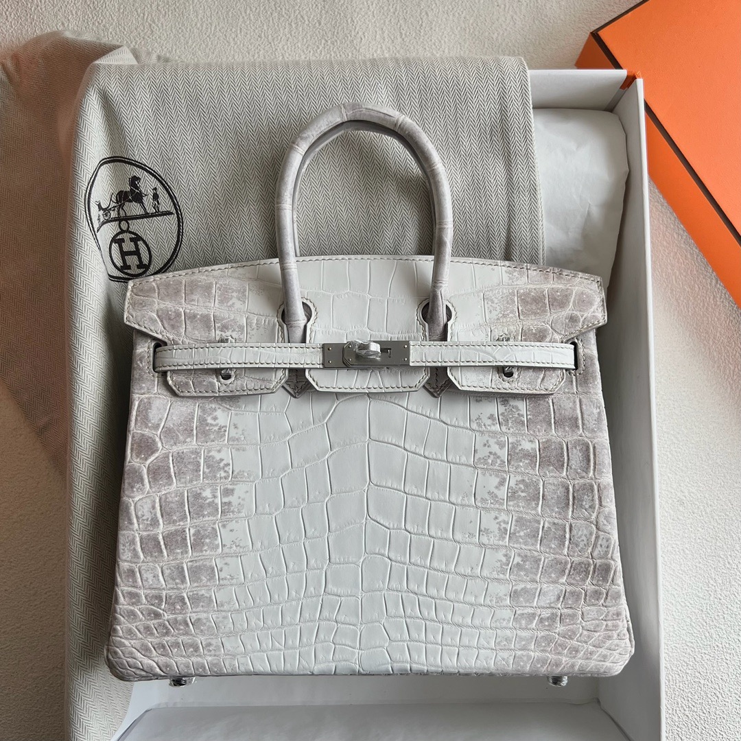 愛馬仕喜馬拉雅鉑金包圖片價格多少錢 Hermès Birkin 25 Himalayan Blanc Crocodylus Niloticus