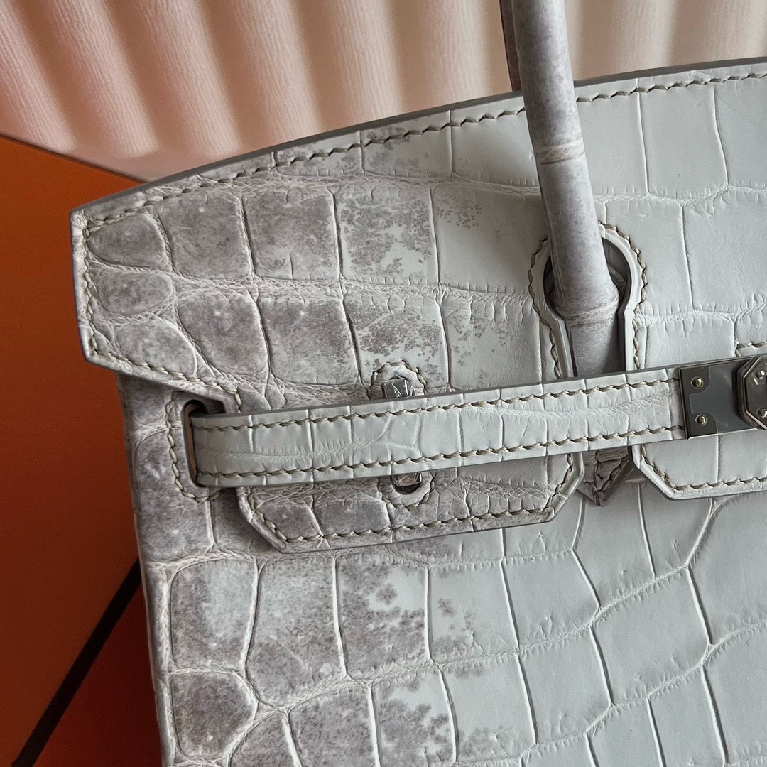 愛馬仕喜馬拉雅鉑金包圖片價格多少錢 Hermès Birkin 25 Himalayan Blanc Crocodylus Niloticus