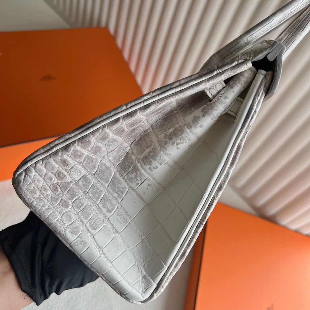 愛馬仕喜馬拉雅鉑金包圖片價格多少錢 Hermès Birkin 25 Himalayan Blanc Crocodylus Niloticus