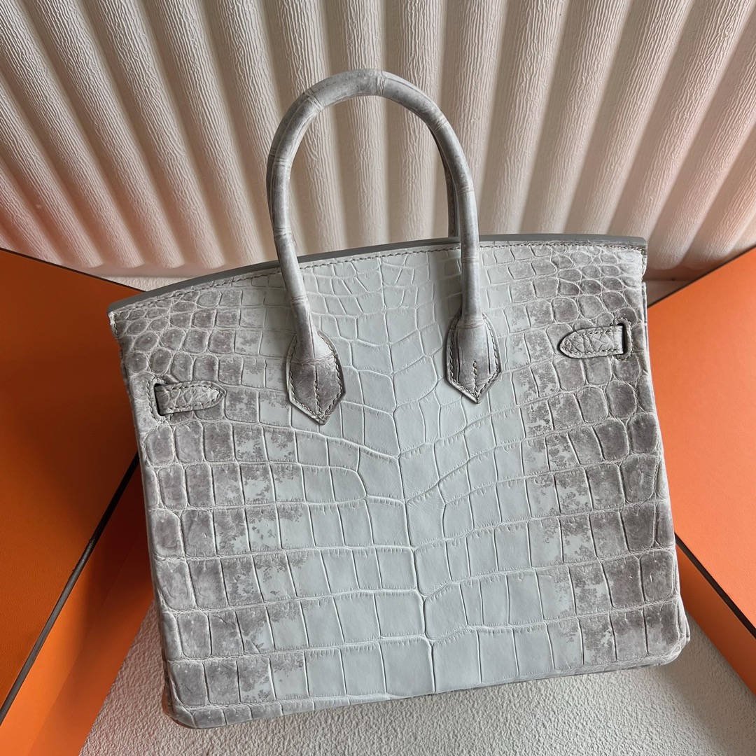 愛馬仕喜馬拉雅鉑金包圖片價格多少錢 Hermès Birkin 25 Himalayan Blanc Crocodylus Niloticus