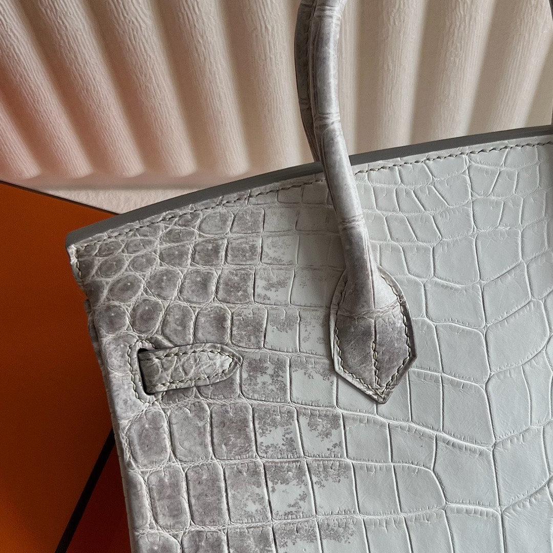 愛馬仕喜馬拉雅鉑金包圖片價格多少錢 Hermès Birkin 25 Himalayan Blanc Crocodylus Niloticus
