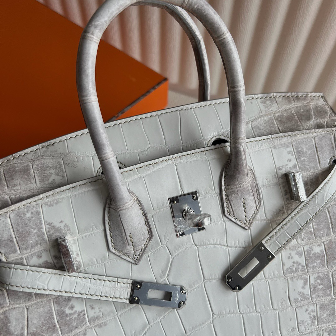 愛馬仕喜馬拉雅鉑金包圖片價格多少錢 Hermès Birkin 25 Himalayan Blanc Crocodylus Niloticus