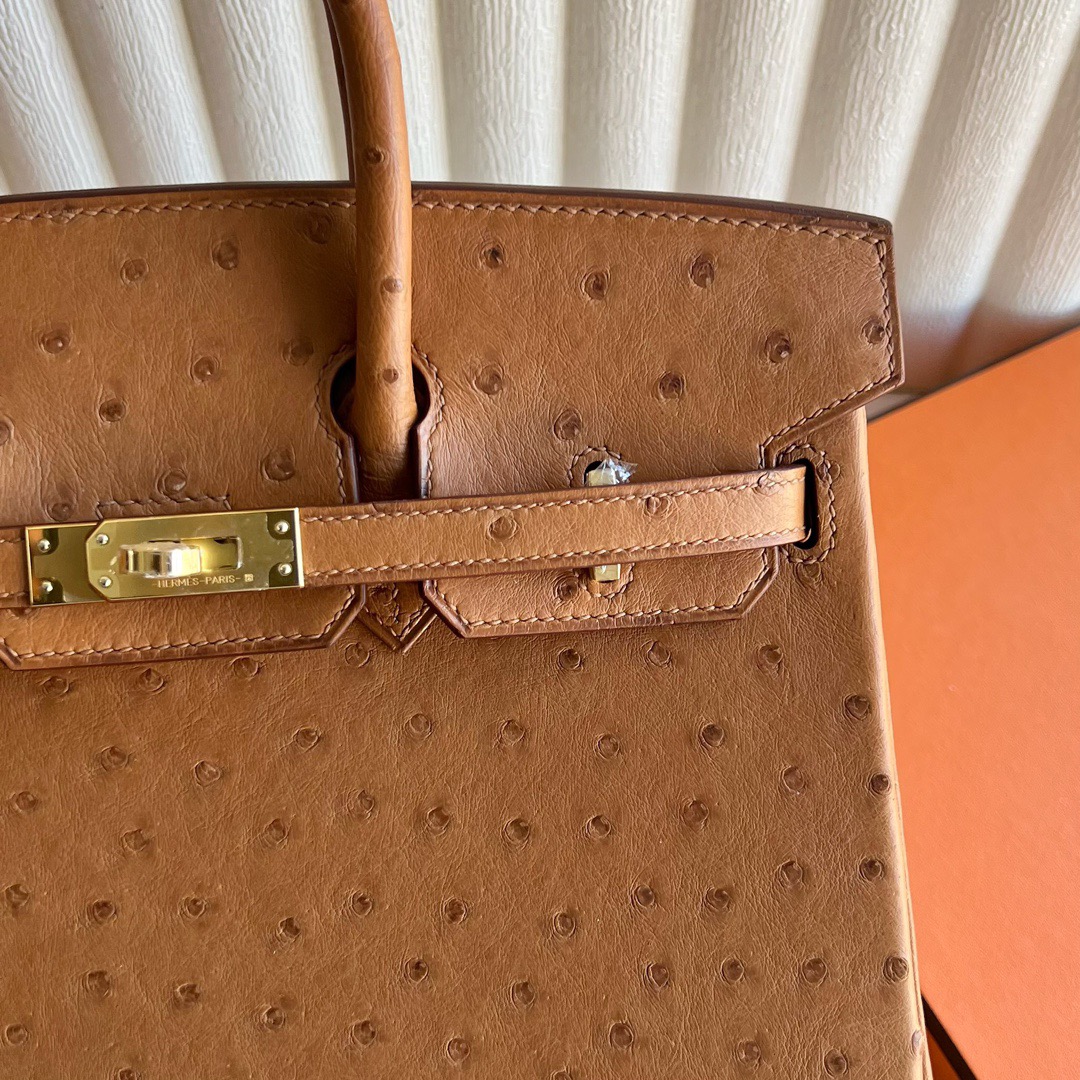愛馬仕鉑金包尺寸怎麼選 Hermès Birkin 25 Ostrich 顏色金棕色金色五金