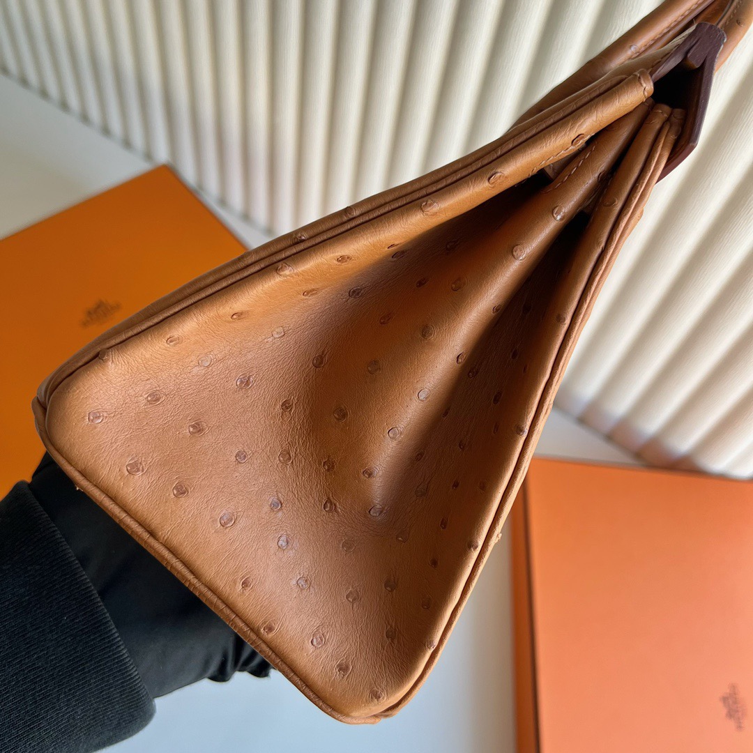 愛馬仕鉑金包尺寸怎麼選 Hermès Birkin 25 Ostrich 顏色金棕色金色五金
