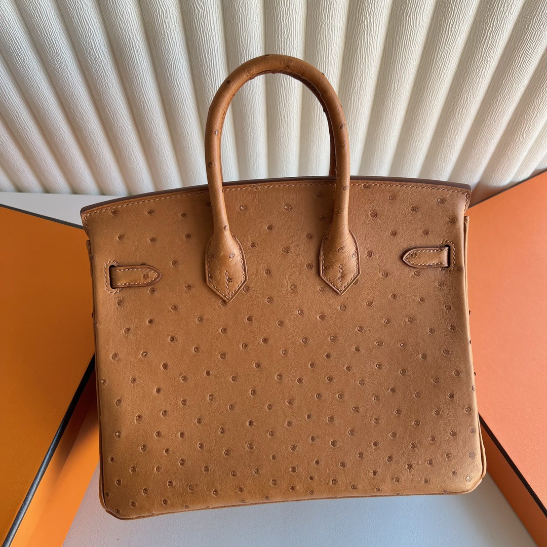 愛馬仕鉑金包尺寸怎麼選 Hermès Birkin 25 Ostrich 顏色金棕色金色五金