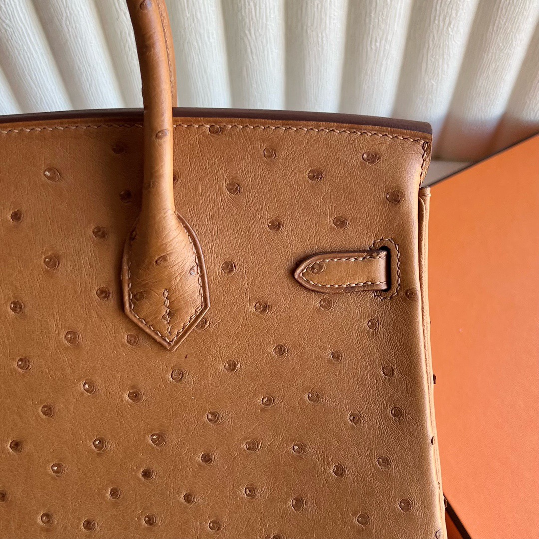 愛馬仕鉑金包尺寸怎麼選 Hermès Birkin 25 Ostrich 顏色金棕色金色五金
