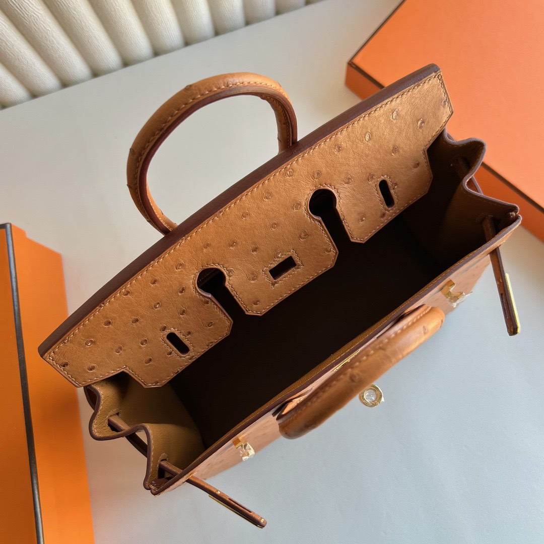 愛馬仕鉑金包尺寸怎麼選 Hermès Birkin 25 Ostrich 顏色金棕色金色五金