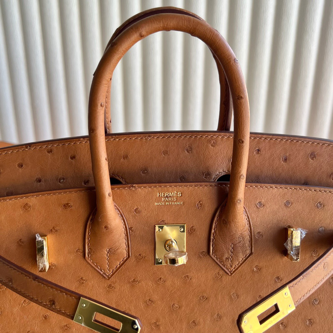 愛馬仕鉑金包尺寸怎麼選 Hermès Birkin 25 Ostrich 顏色金棕色金色五金
