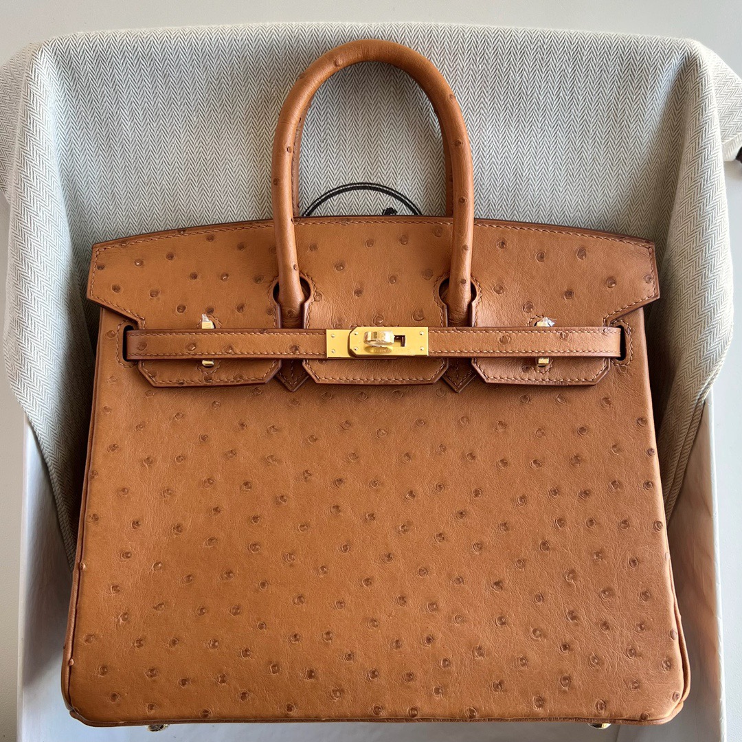 愛馬仕鉑金包尺寸怎麼選 Hermès Birkin 25 Ostrich 顏色金棕色金色五金