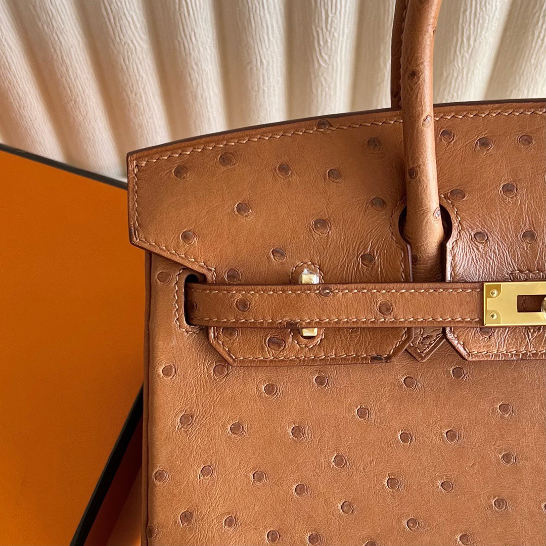 愛馬仕鴕鳥皮鉑金包25寸專櫃價格Hermes Birkin 25 Ostrich 原廠南非鴕鳥皮金棕色
