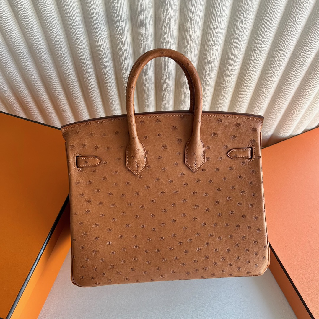 愛馬仕鴕鳥皮鉑金包25寸專櫃價格Hermes Birkin 25 Ostrich 原廠南非鴕鳥皮金棕色