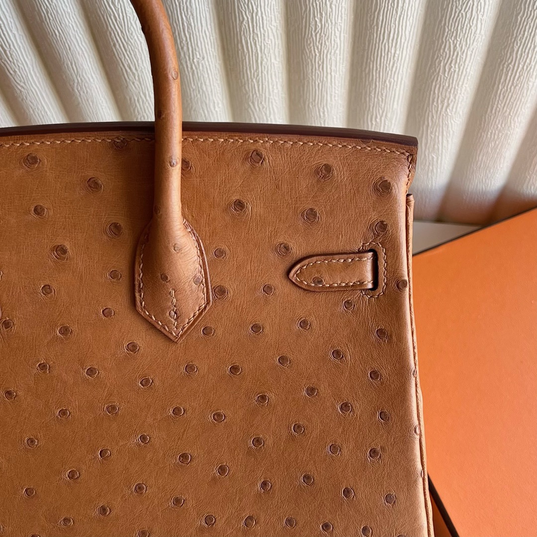 愛馬仕鴕鳥皮鉑金包25寸專櫃價格Hermes Birkin 25 Ostrich 原廠南非鴕鳥皮金棕色