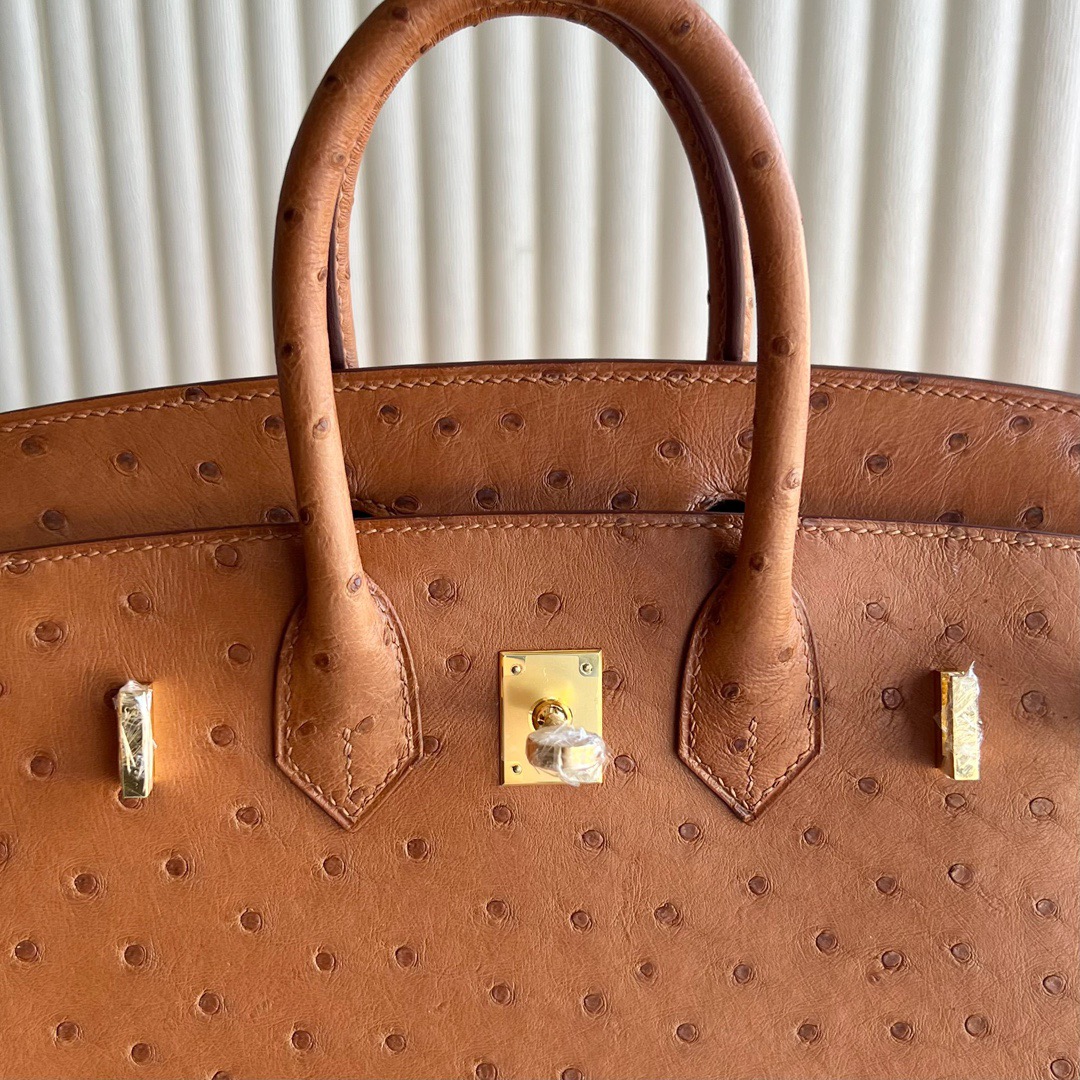 愛馬仕鴕鳥皮鉑金包25寸專櫃價格Hermes Birkin 25 Ostrich 原廠南非鴕鳥皮金棕色
