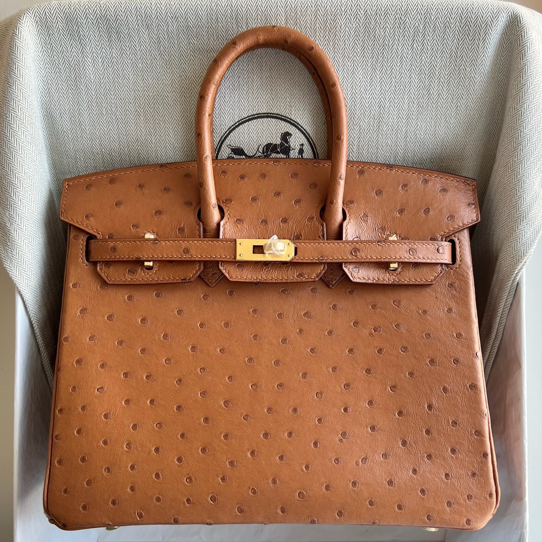 愛馬仕鴕鳥皮鉑金包25寸專櫃價格Hermes Birkin 25 Ostrich 原廠南非鴕鳥皮金棕色