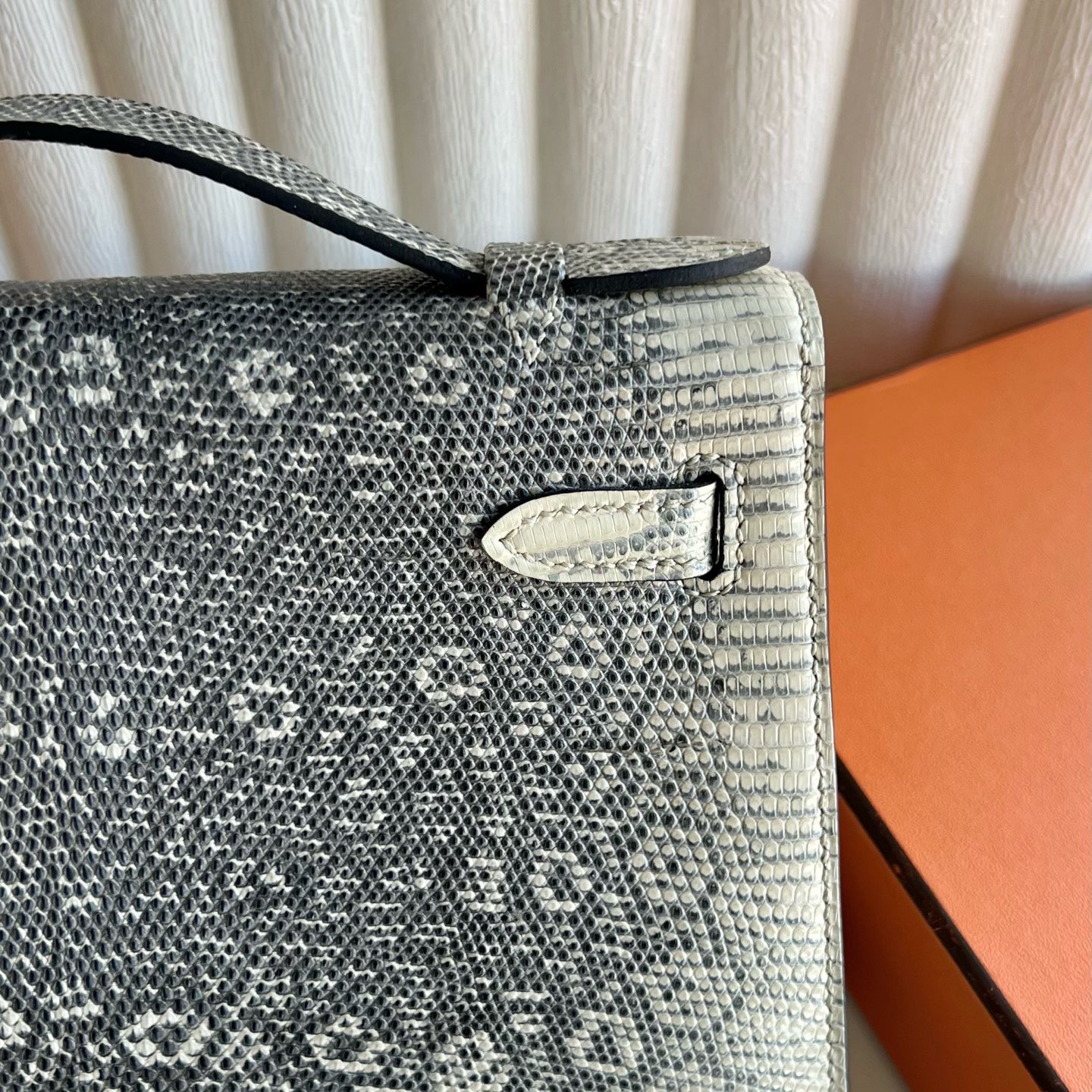 愛馬仕凱莉迷你包圖片Hermes Mini Kelly Pochette Lizard 蜥蜴皮1B Ombre自然色