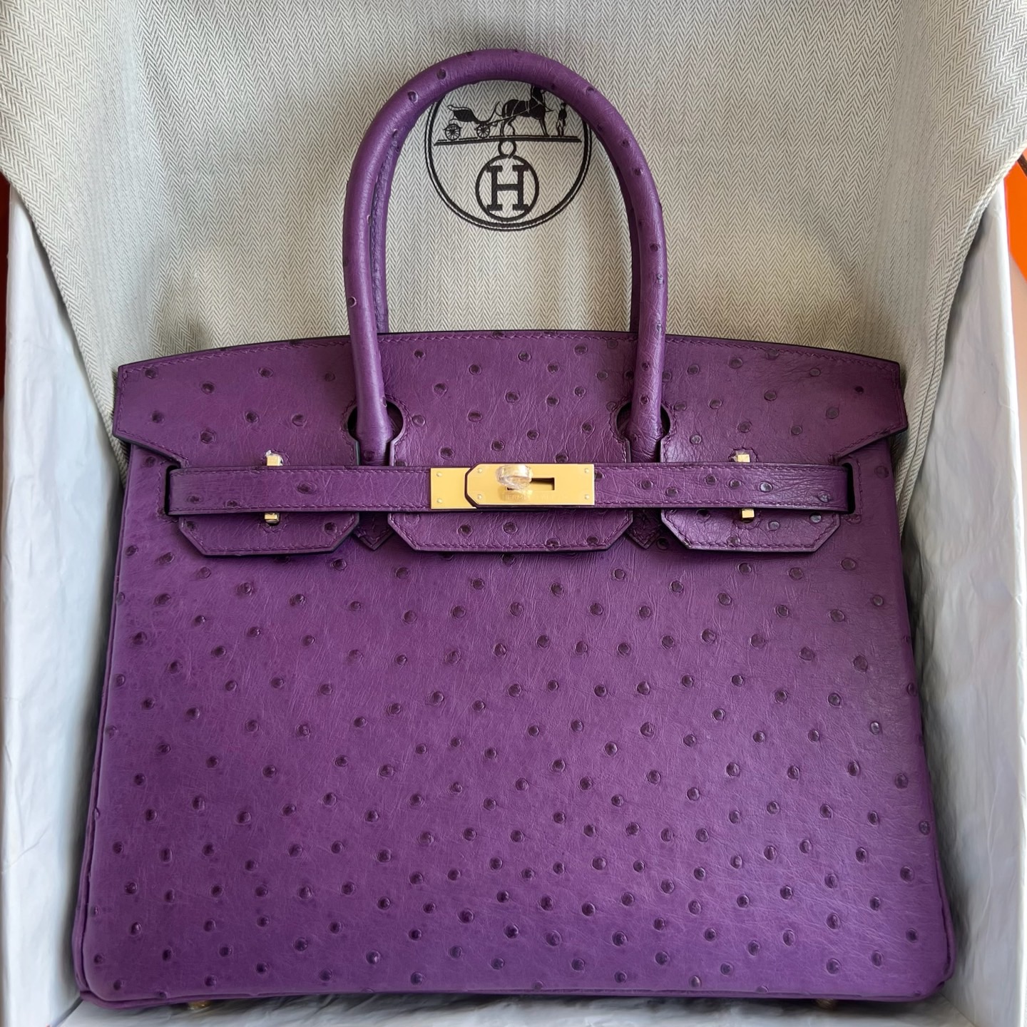 愛馬仕鉑金包哪個尺寸最經典 Hermes Birkin 30 Ostrich 南非Klein Karoo鴕鳥皮 Anémone海葵紫
