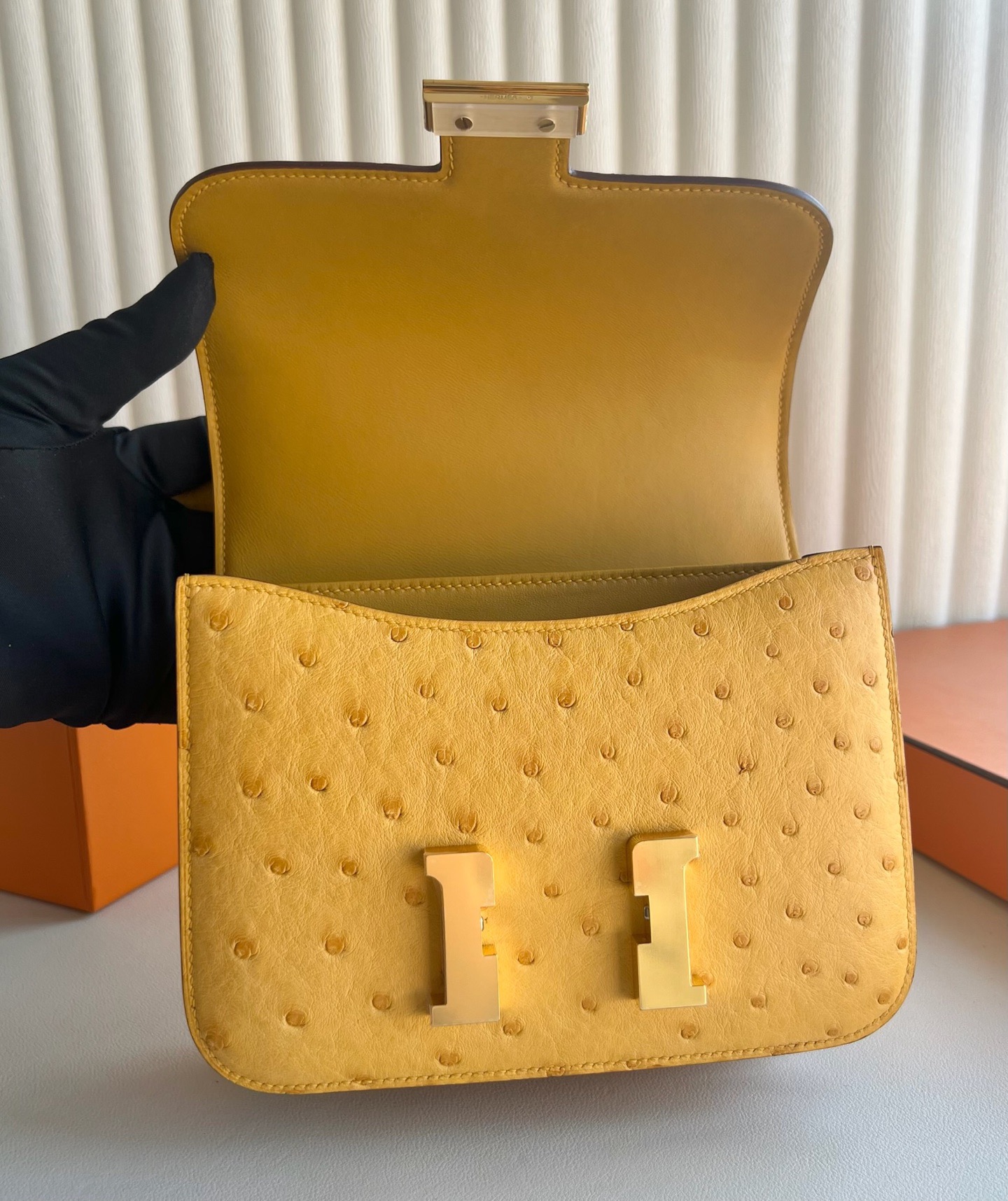 愛馬仕康康尺寸大小 Hermes Constance Mini Ostrich鴕鳥皮9D Jaune Ambe琥珀黃金色五金