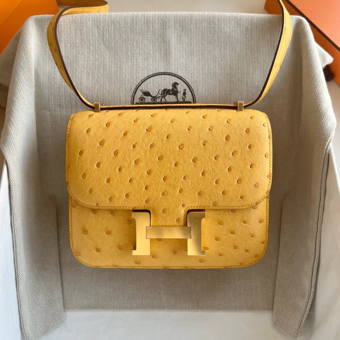 愛馬仕康康尺寸大小 Hermes Constance Mini Ostrich鴕鳥皮9D Jaune Ambe琥珀黃金色五金