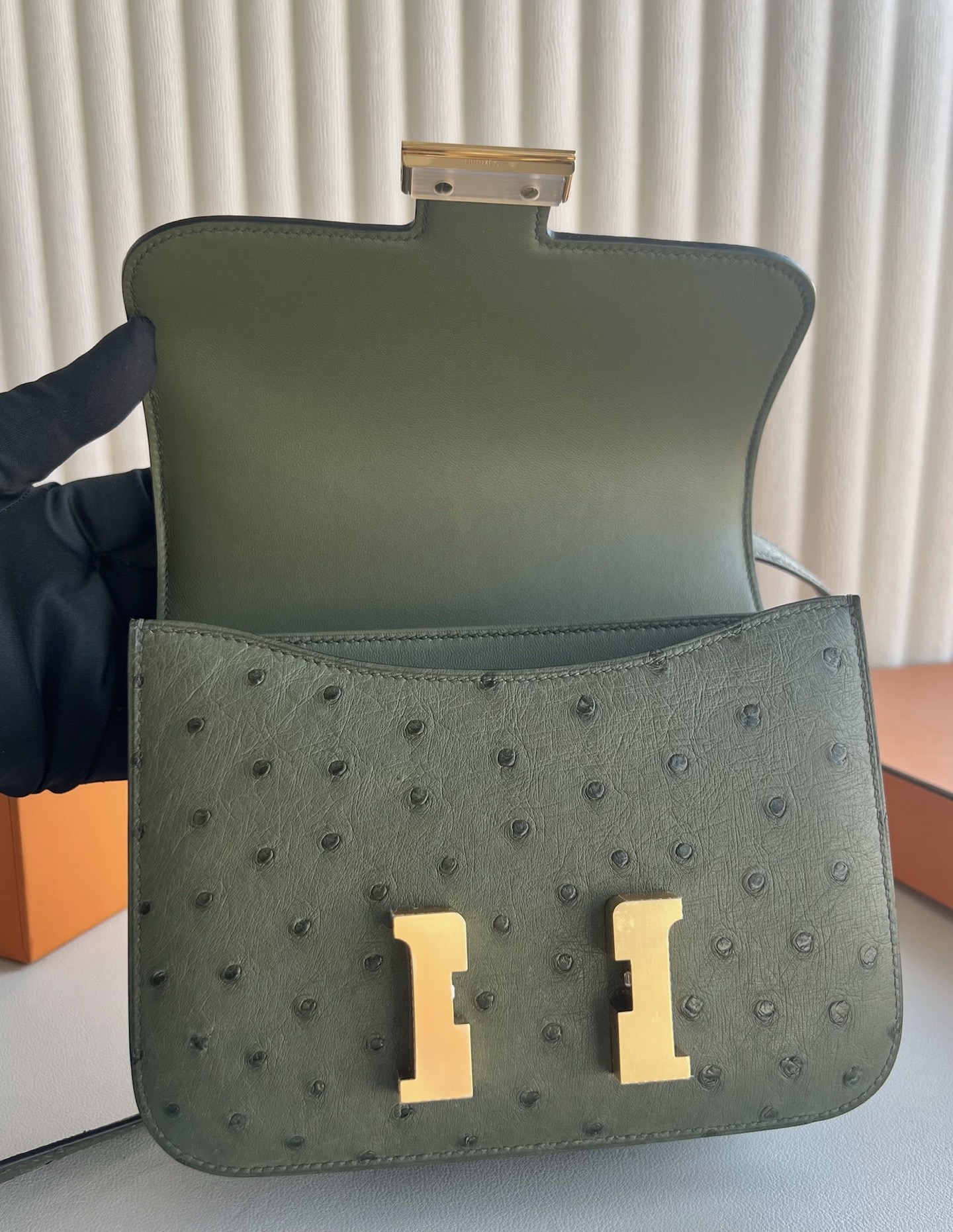 愛馬仕康康刻印年份 Hermes Constance Mini 18 Ostrich 鴕鳥皮 V6 Canopée林冠綠 叢林綠