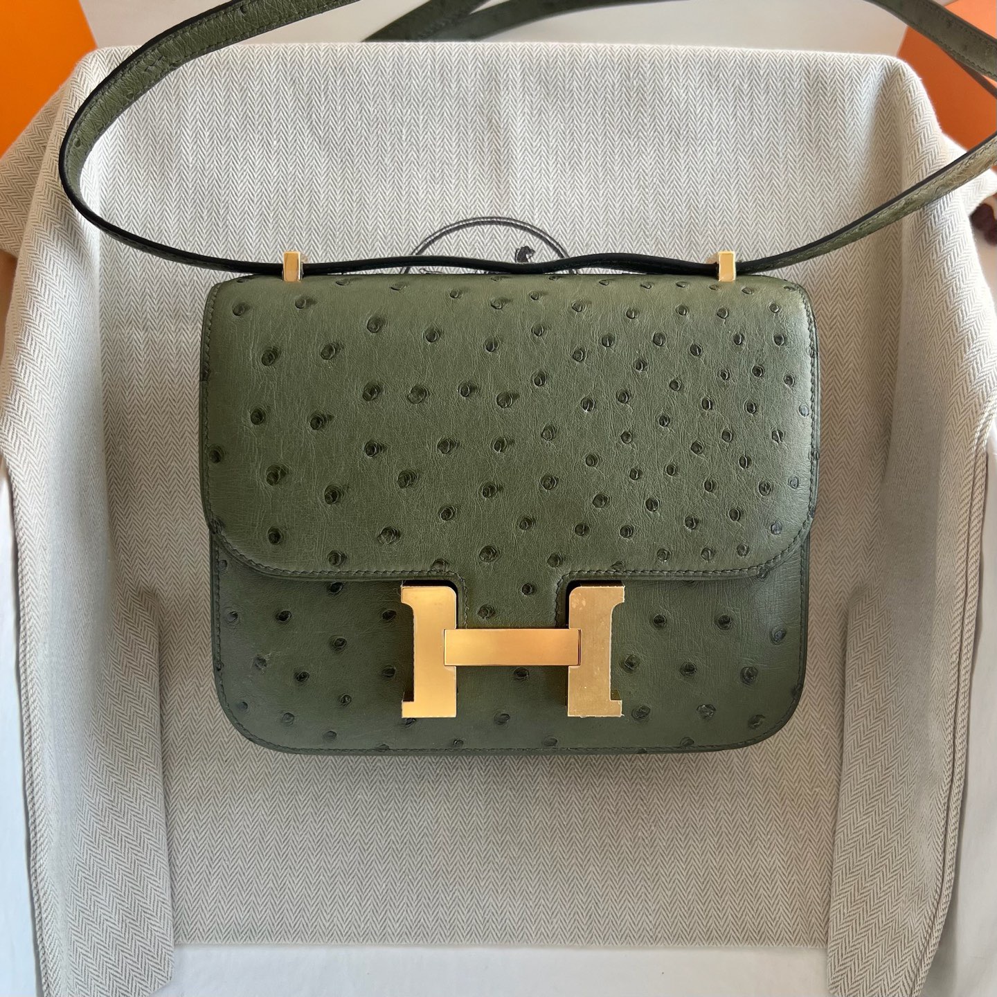 愛馬仕康康刻印年份 Hermes Constance Mini 18 Ostrich 鴕鳥皮 V6 Canopée林冠綠 叢林綠