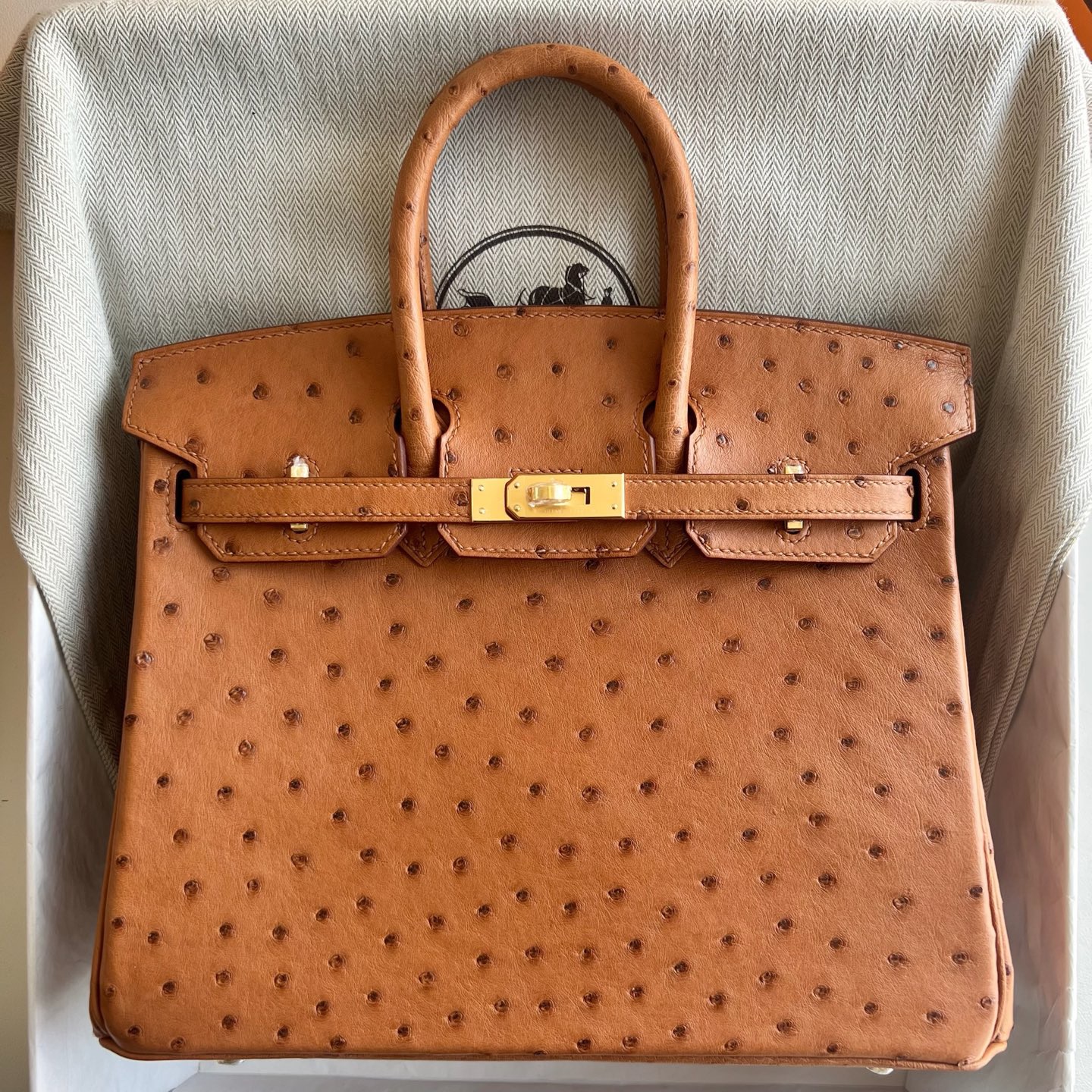 新加坡愛馬仕鉑金包25寸專櫃價格 Hermes Birkin 25 Ostrich Gold金棕色 金色五金