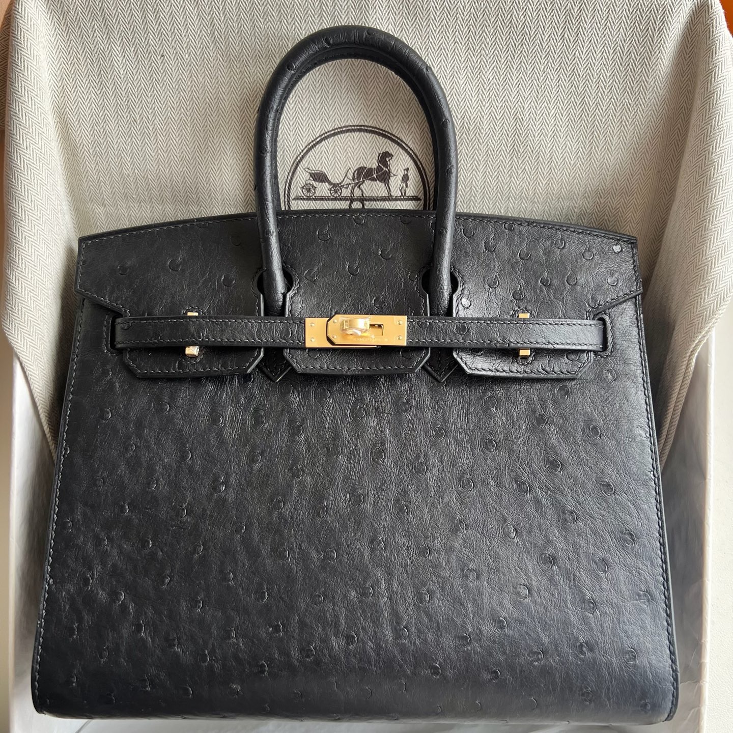 馬來西亞愛馬仕鉑金包25寸專櫃有賣嗎 Hermes Birkin 25 Sellier Ostrich Noir黑色金色五金