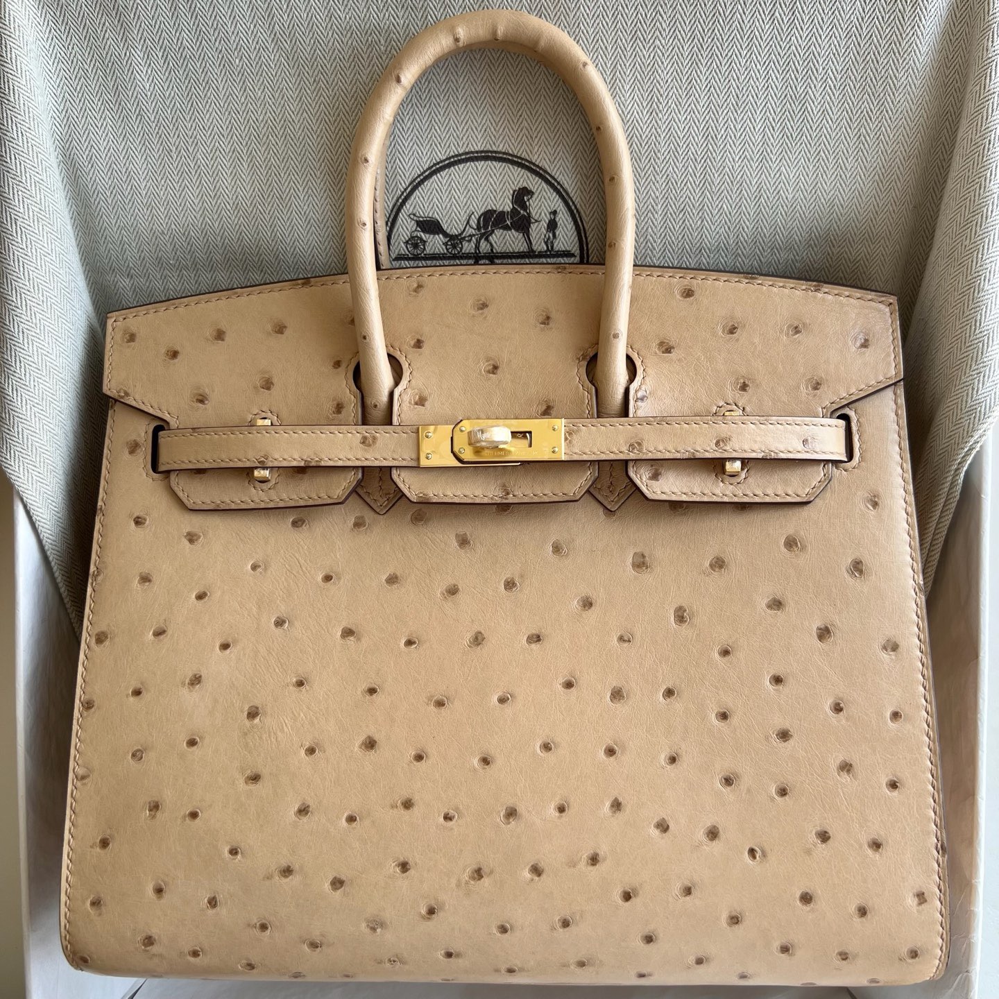 愛馬仕鉑金包多少錢專櫃 Hermes Birkin 25 Sellier Ostrich 0M奶茶色Chai-Qatar Kuwait Hermes Birkin Kelly Lindy bag 愛馬仕鉑金包多少錢專櫃 Hermes Birkin 25 Sellier Ostrich 0M奶茶色Chai